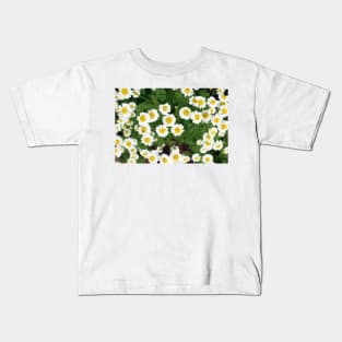 chamomile flowers Kids T-Shirt